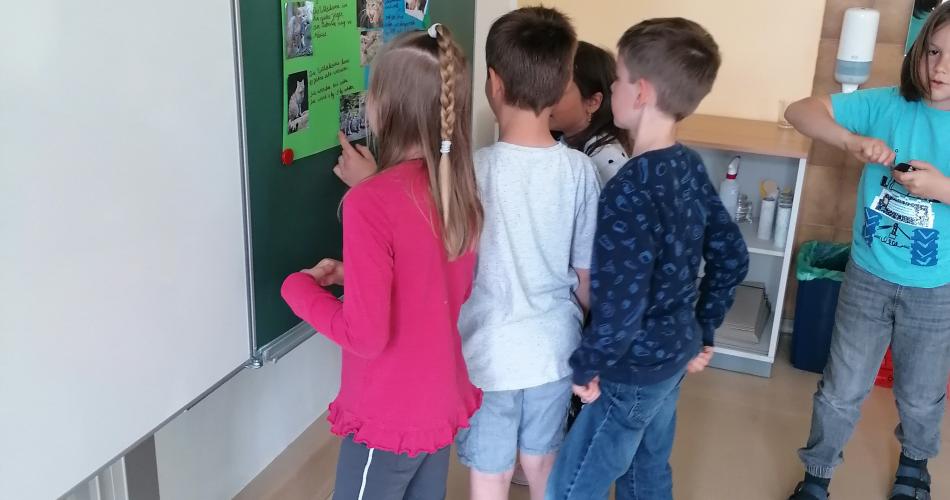 Präsentation