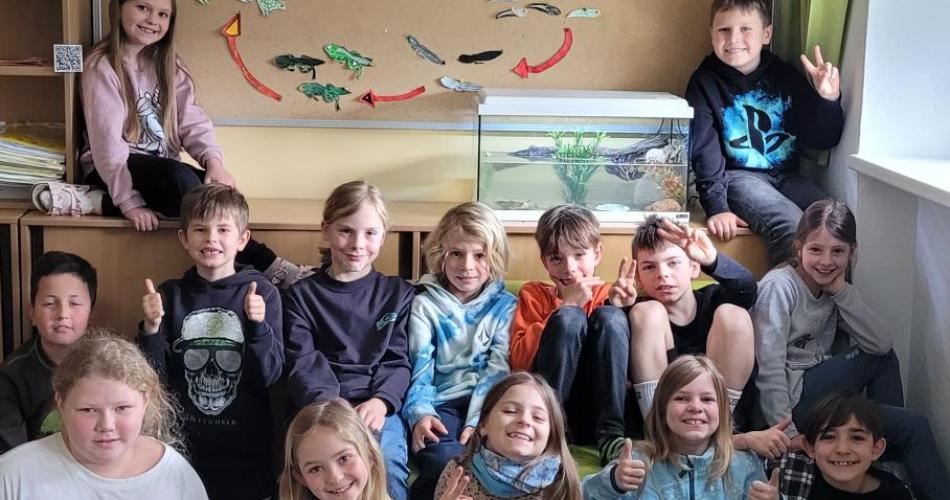 Klassenfrösche der 3b